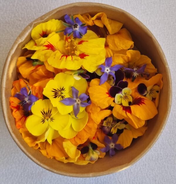 Fleurs comestibles - Special Mix Jaune